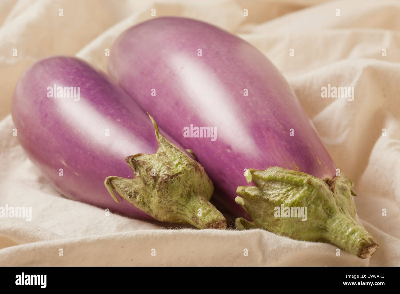 whole purple aubergine (eggplant Stock Photo Alamy