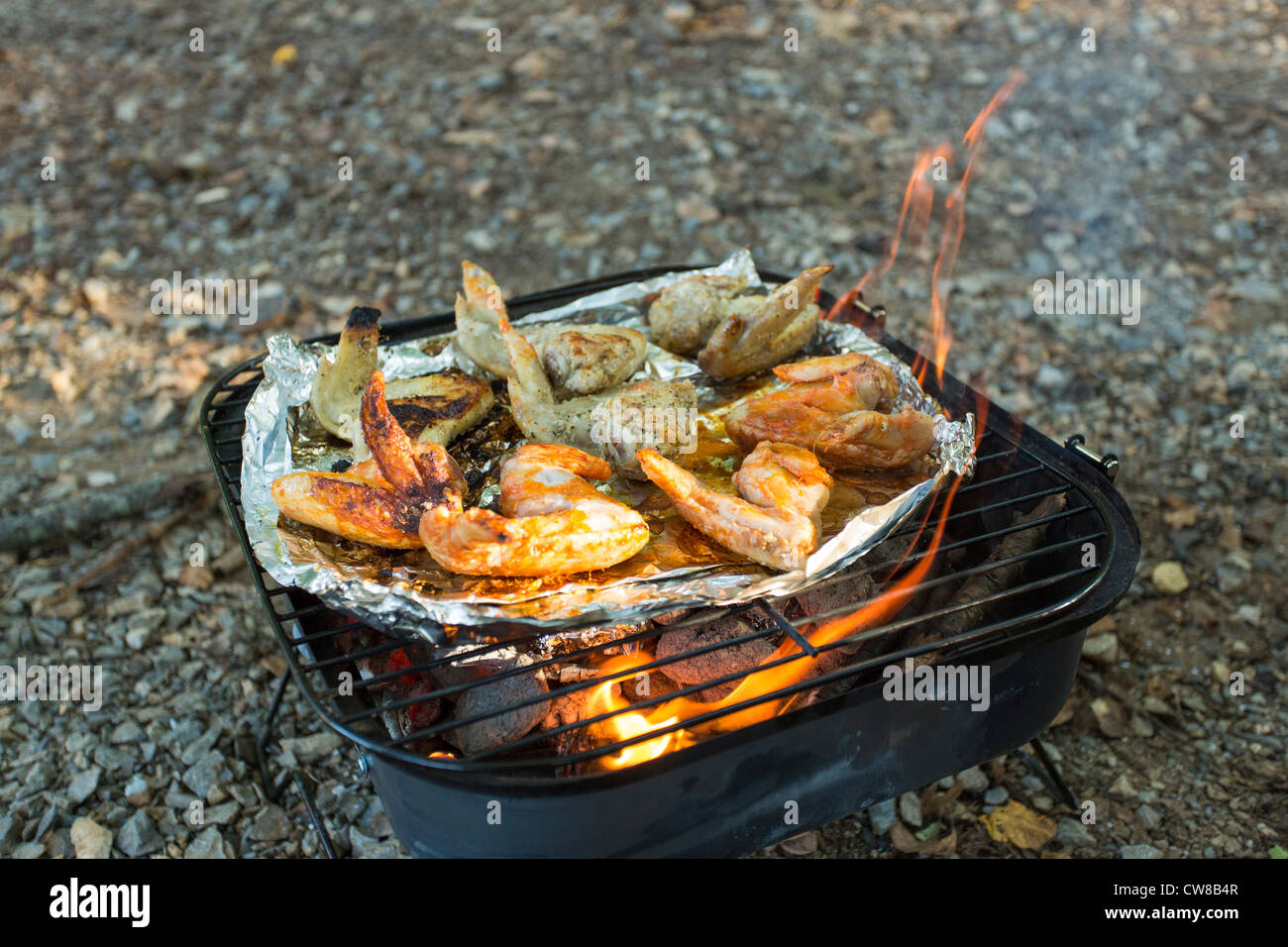 Chicken wings on the grill Stock Photo
