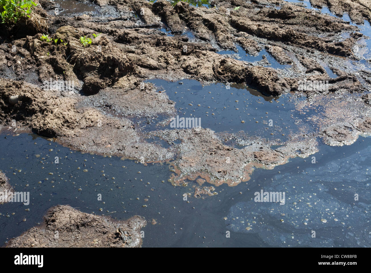 Livestock manure hires stock photography and images Alamy
