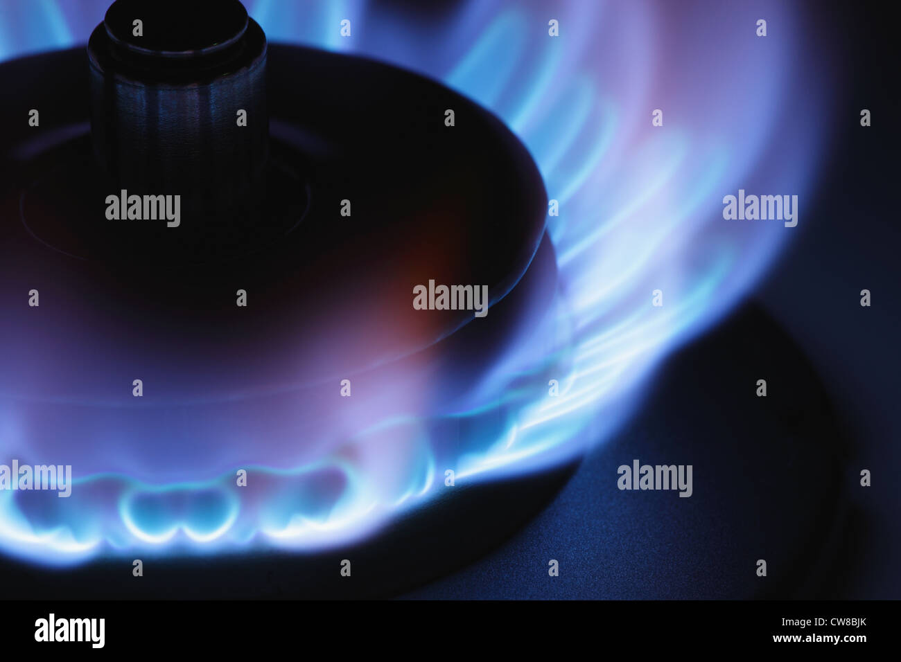 Cooking Gas Flame, Close Up Stock Photo Alamy
