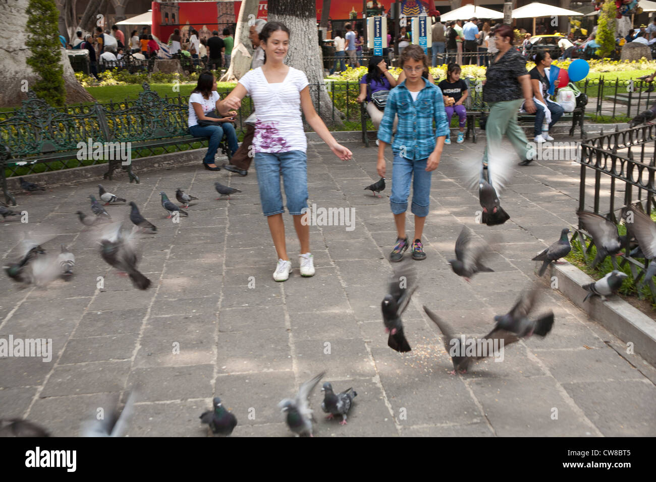 Children chasing birds in Puebla, Mexico Stock Photo - Alamy