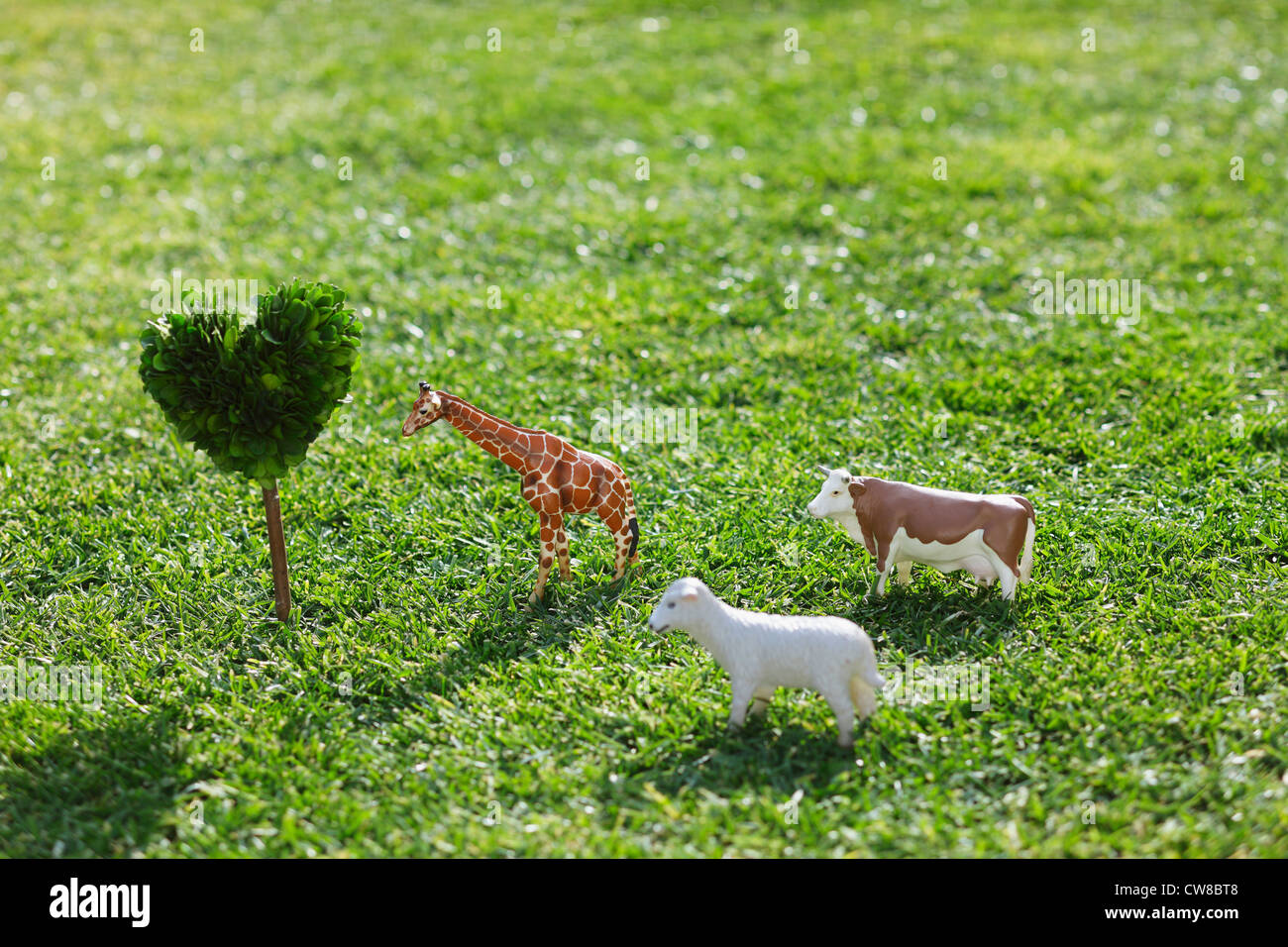 Animals, Heart Shape Tree On Grassy Field Stock Photo