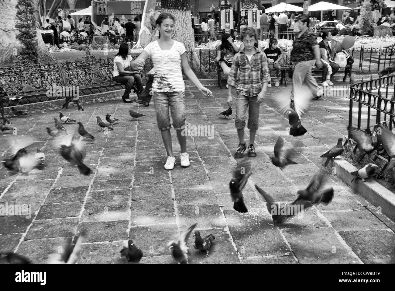 Children chasing birds in Puebla, Mexico Stock Photo