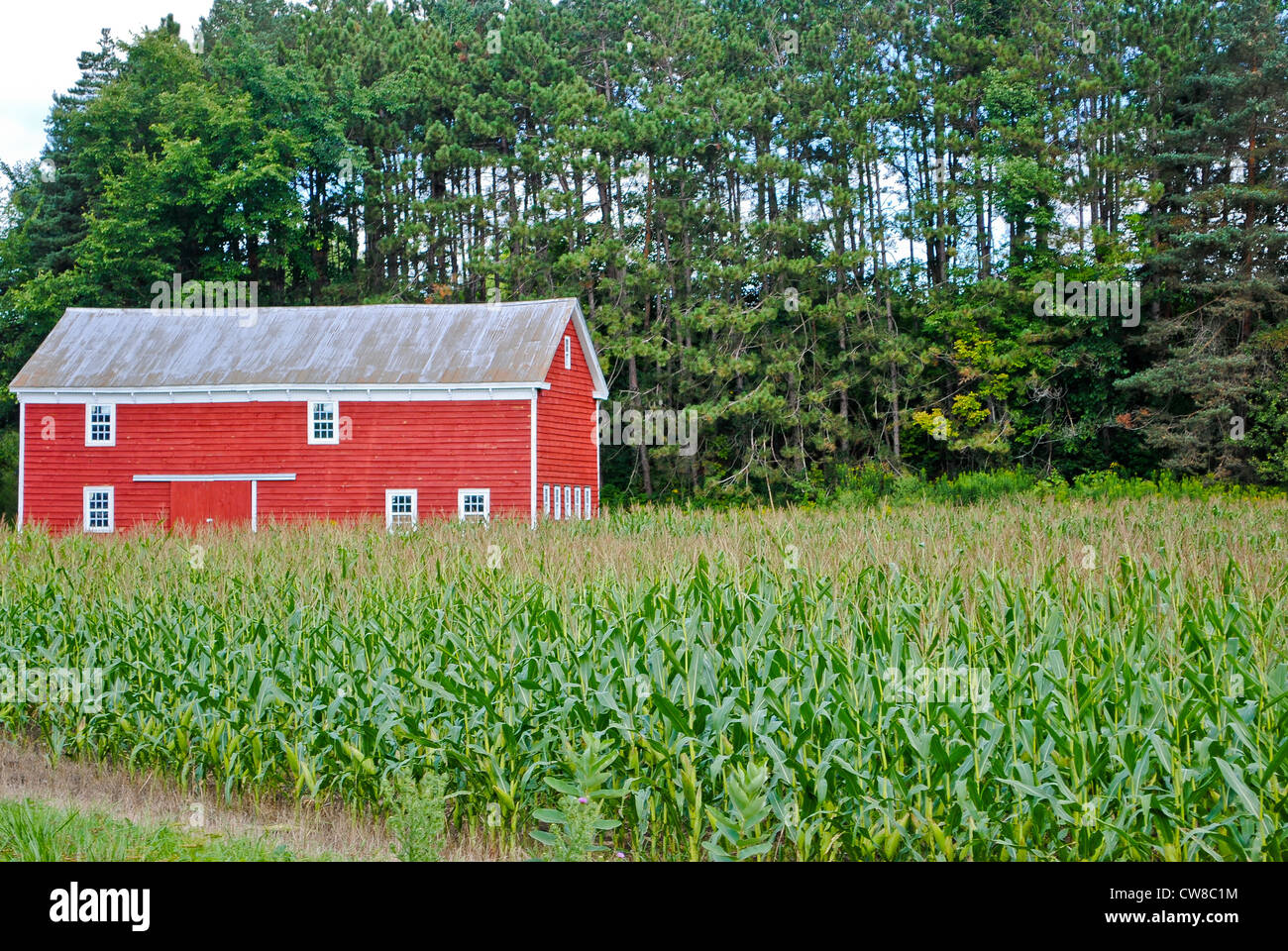 Farm in Upstate New York Stock Photo Alamy