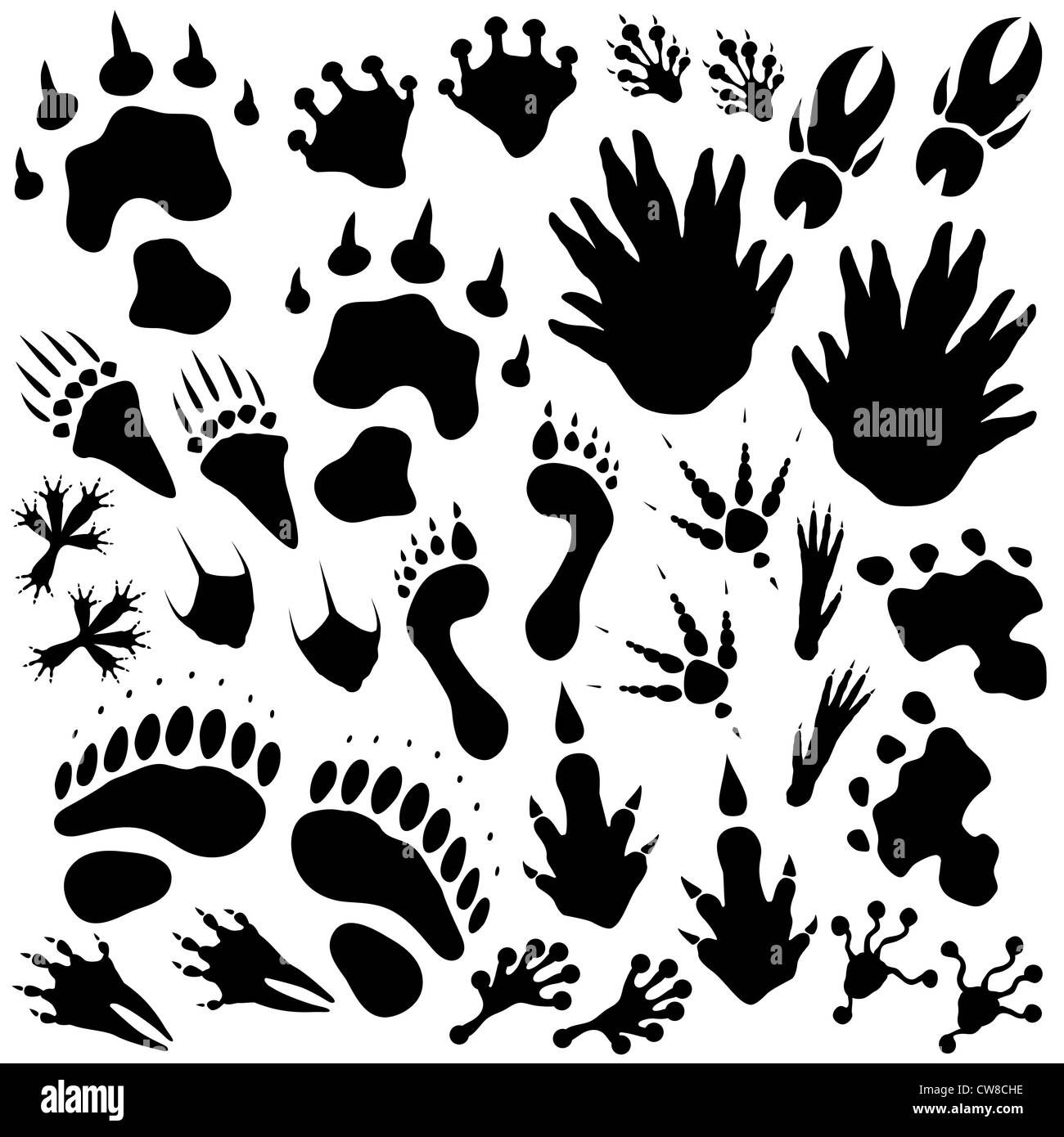 Set of monster or alien footprints Stock Photo
