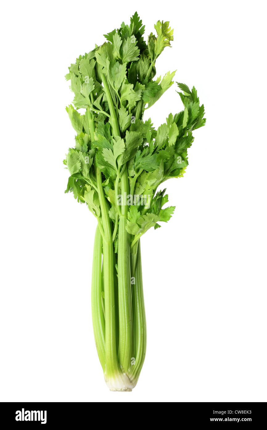 Bunch of Celery Stock Photo Alamy