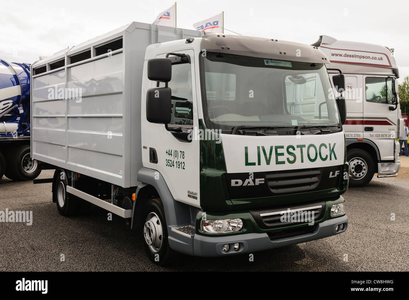 DAF LF lorry/truck converted into a livestock transporter Stock Photo