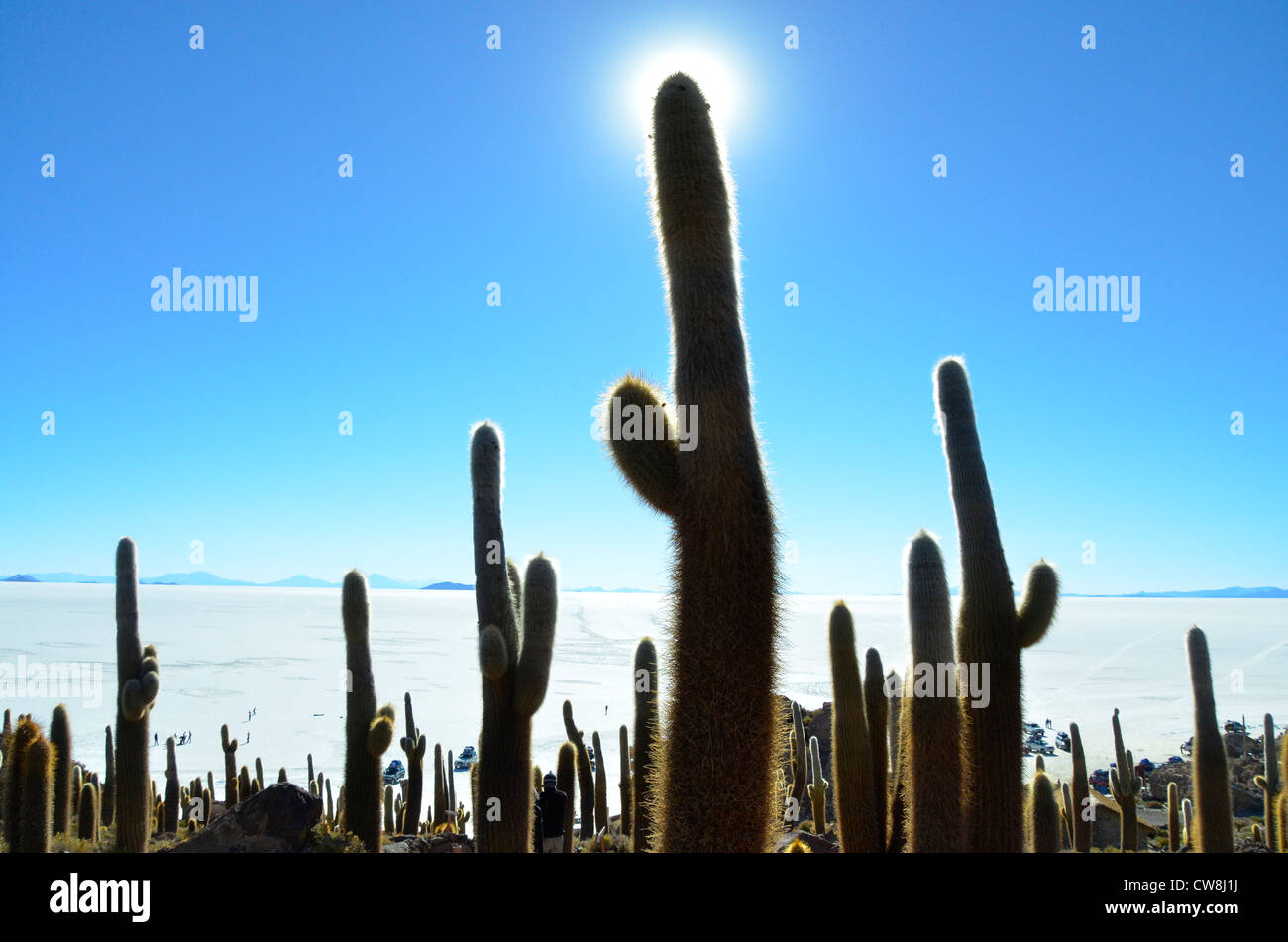 Uyuni Salaar, the biggest salt pan on earth. Andes Altiplano plateau of Bolivia. Altitude about 4000m. Stock Photo