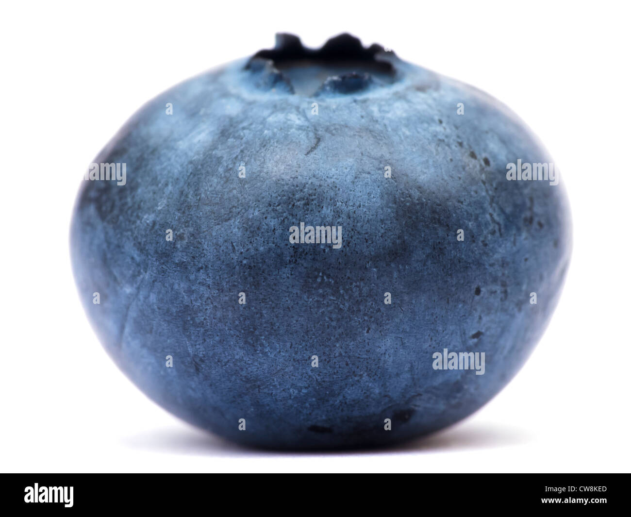 Blueberry Isolated Stock Photo