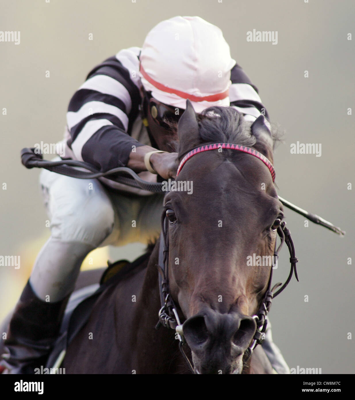 Leipzig, jockey and horse in the race Stock Photo Alamy