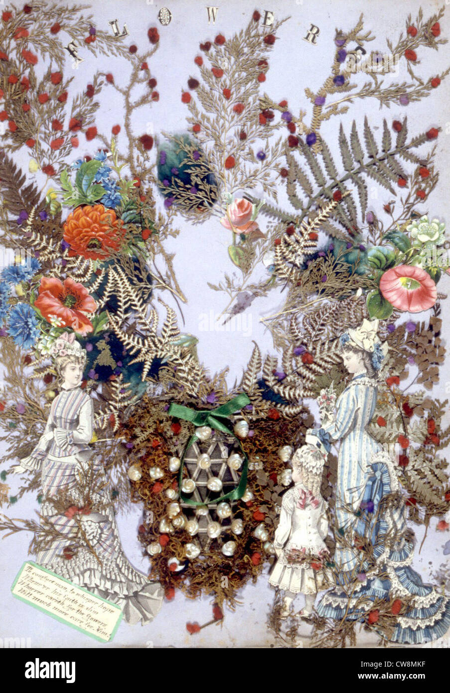 Herbier, illustration from the late 19th century Stock Photo