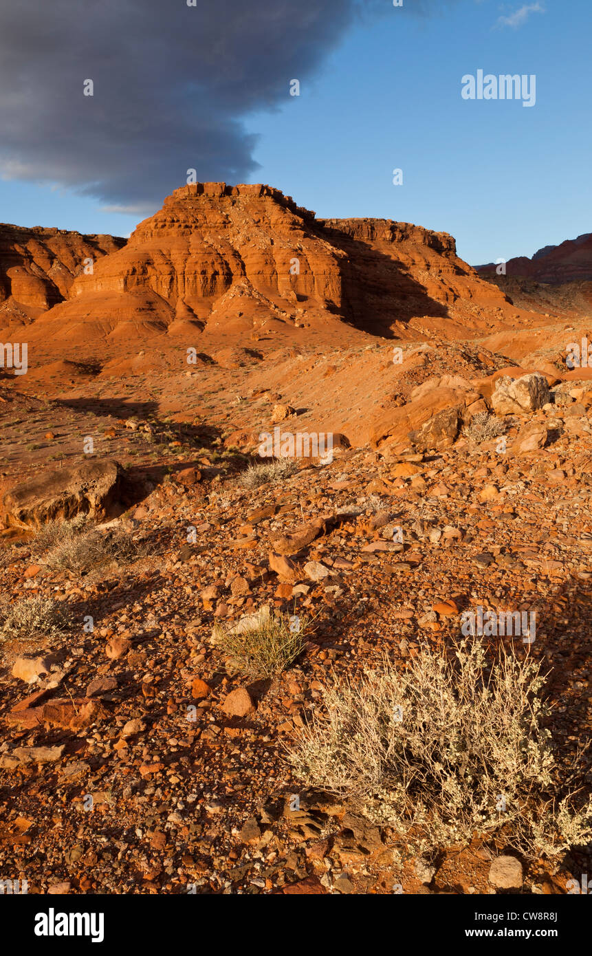 The Vermilion Cliffs in Marble Canyon, northern Arizona, USA Stock