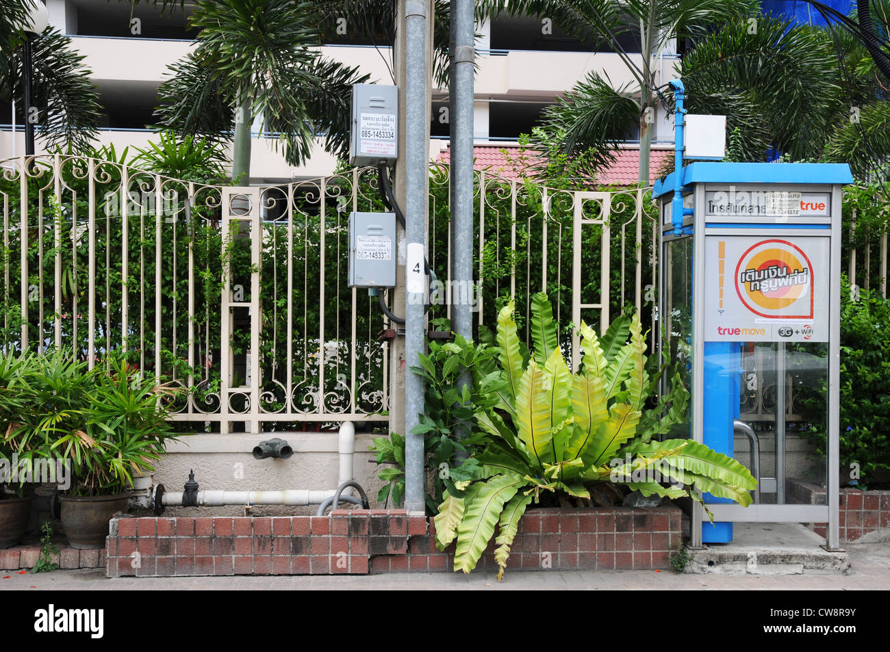 Roadside plants hi-res stock photography and images - Alamy