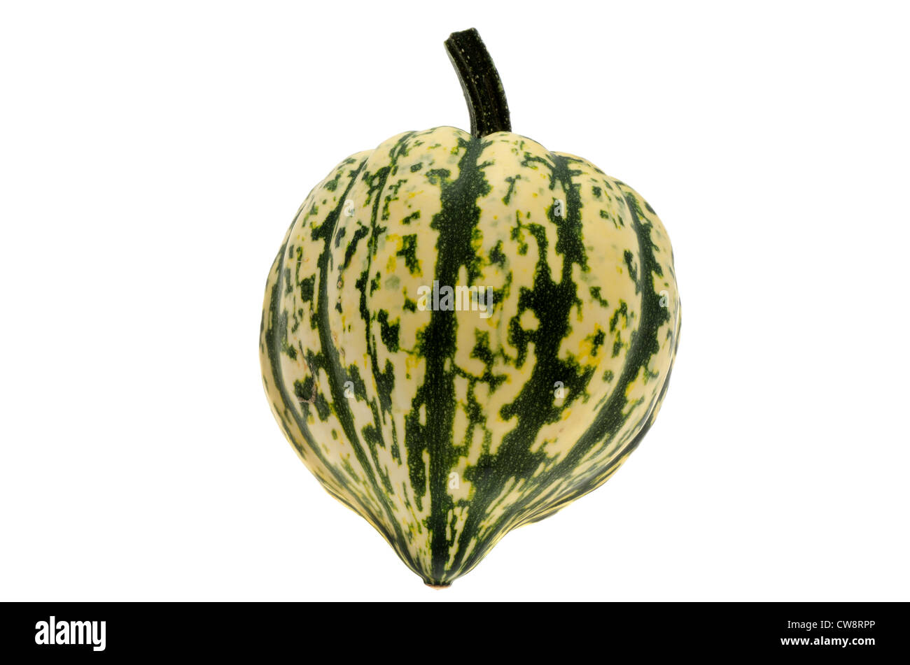 Seasonal winter squash on a white background Stock Photo