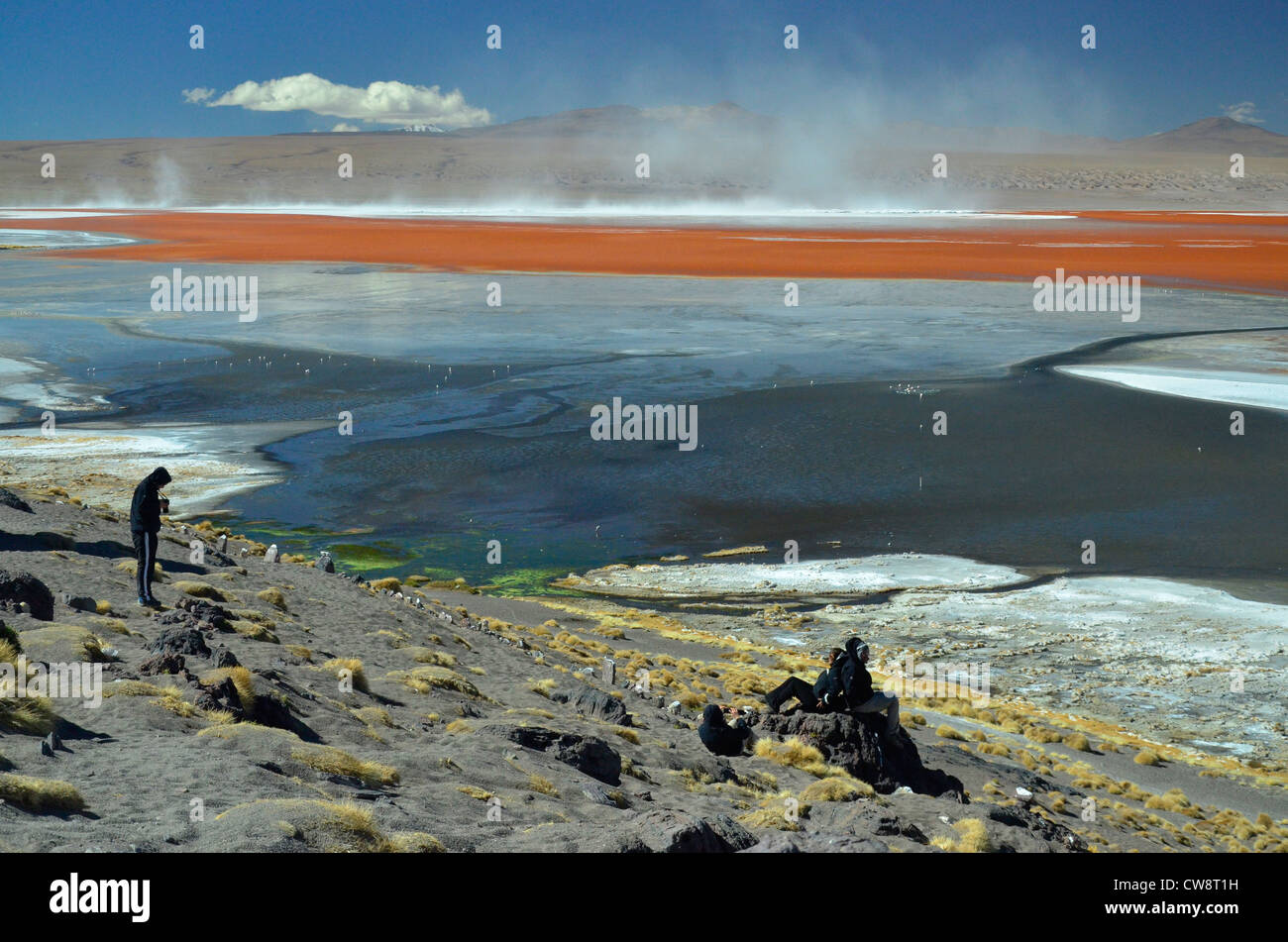 Travel in high altitude of Altiplano plateau in Bolivia, South America. Tourists viewing lake Colorada on icy day. Stock Photo