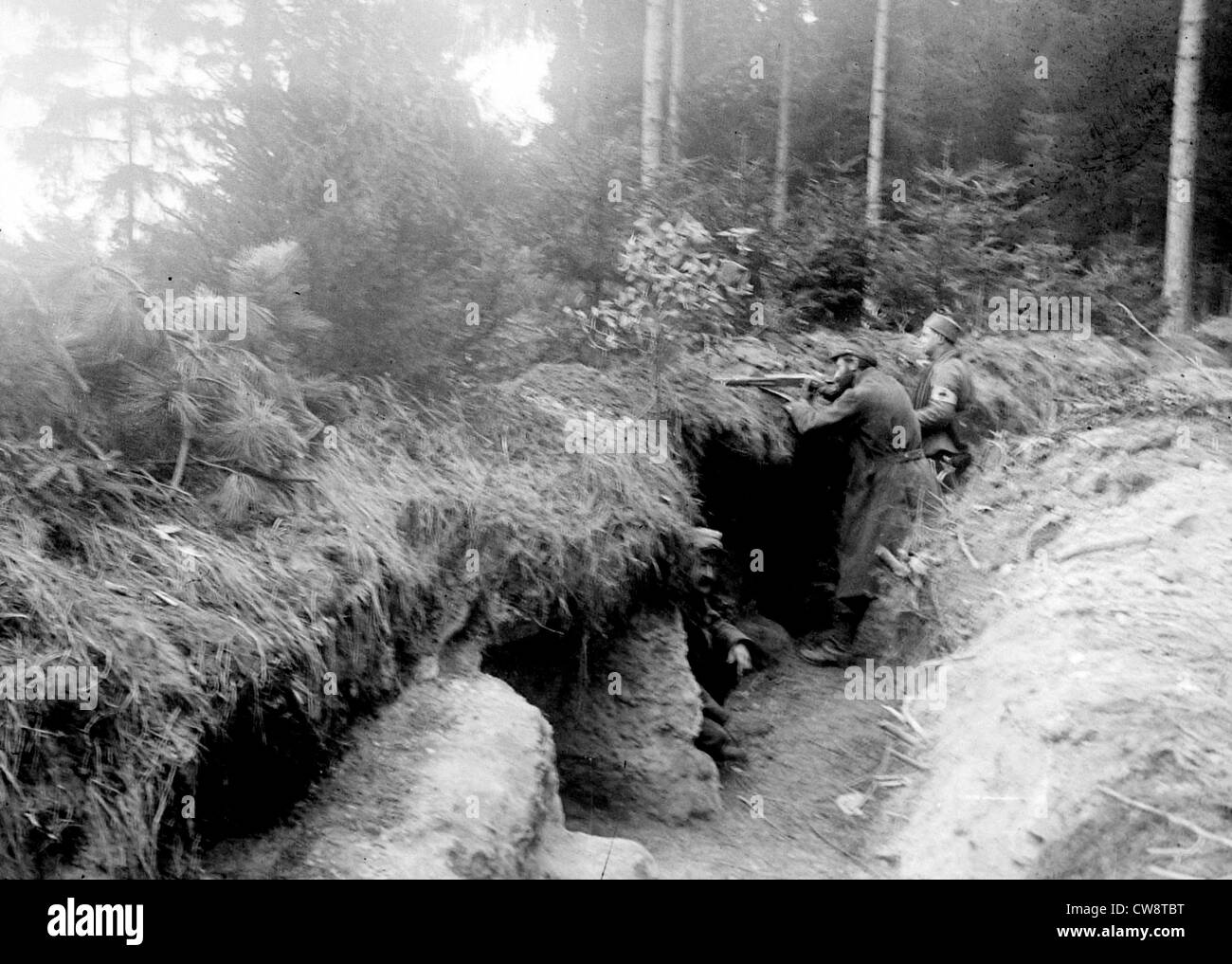 Defending a wood in Argonne Stock Photo Alamy