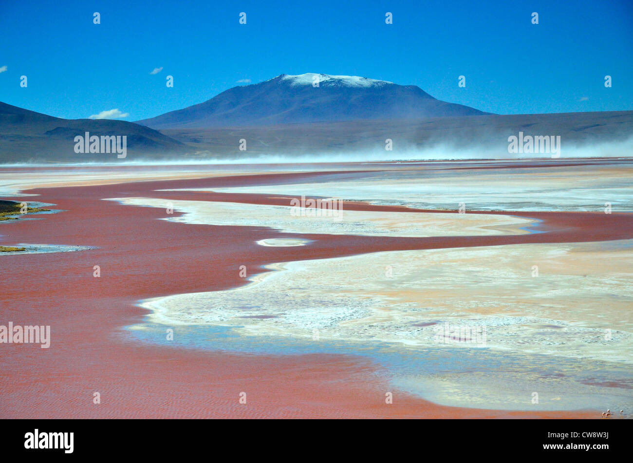 Travel in high altitude of Altiplano plateau in Bolivia, South America. Laguna Colorada, red water, white borax Stock Photo