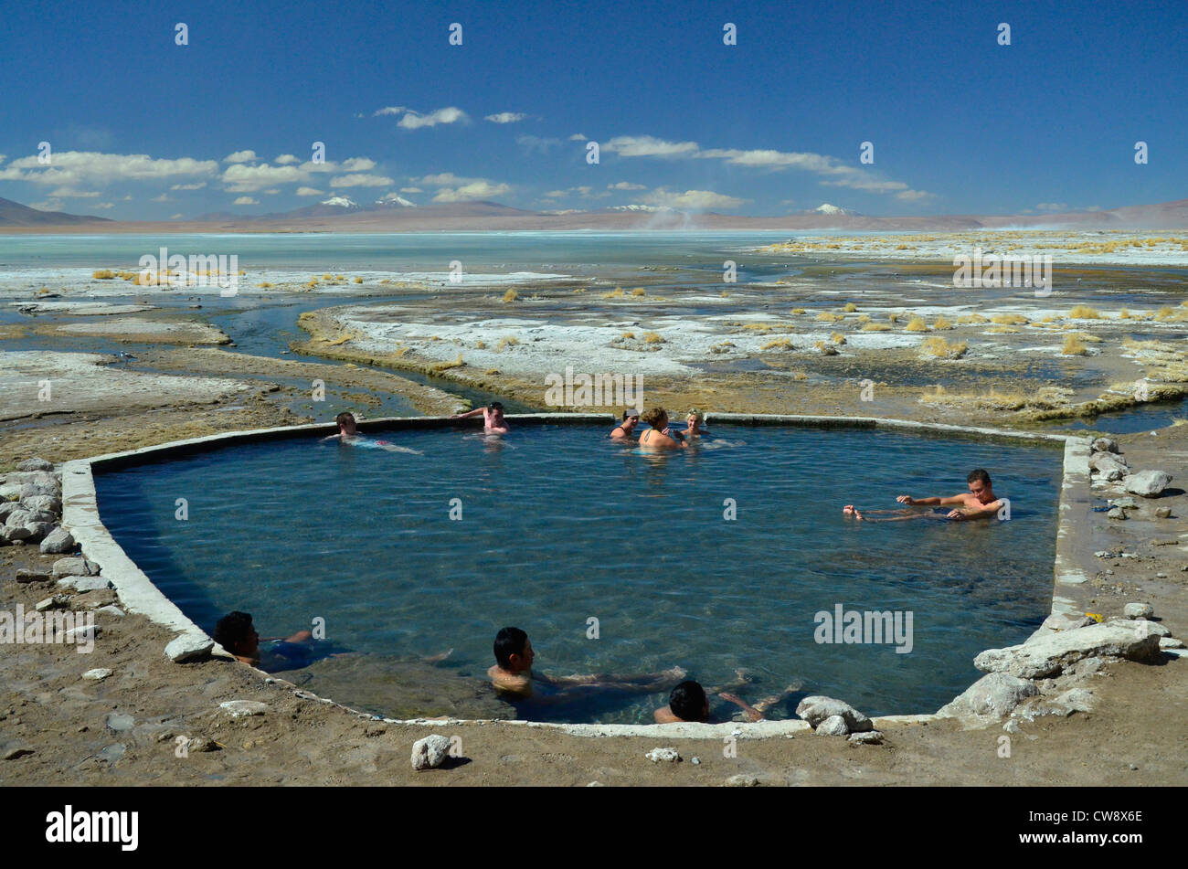 Tourisin hot spring, Altiplano of the Andes mountains in Bolivia, South America. Eduardo Avaroa National Reserve of Andean flora Stock Photo