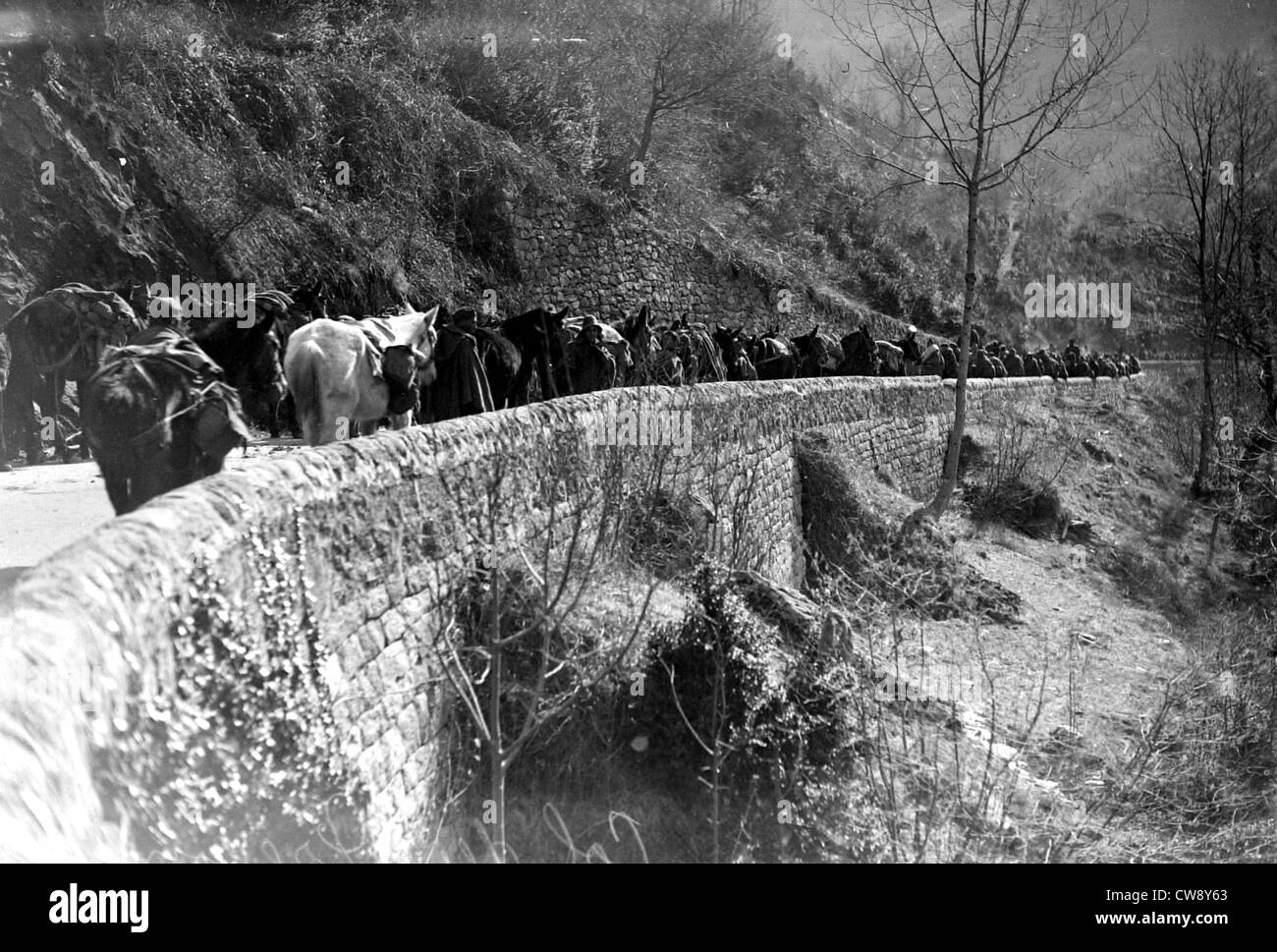 Spanish refugees at the Prégon pass Stock Photo