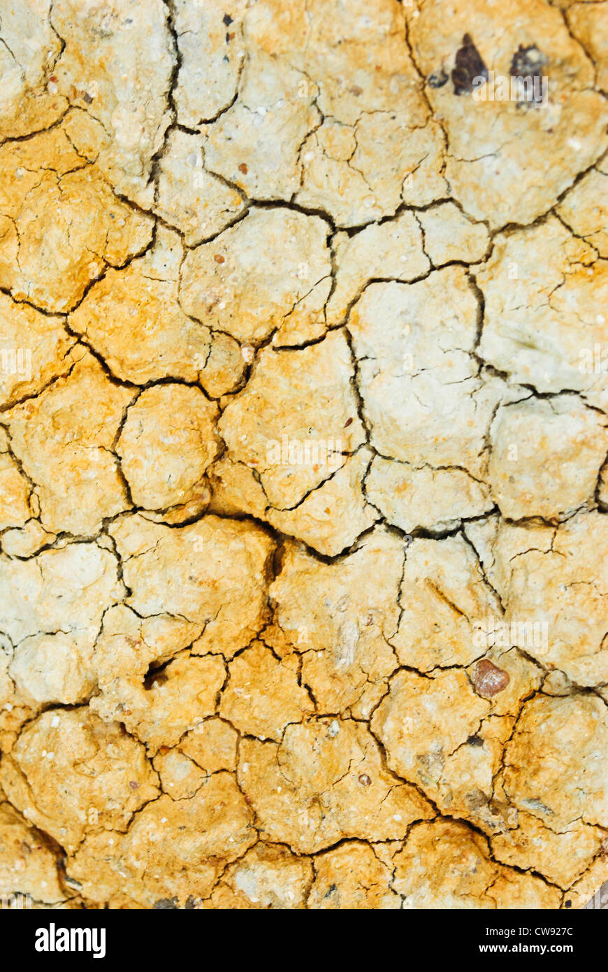 Dry soil texture Stock Photo Alamy