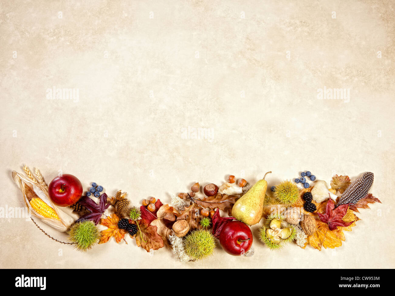 Fall fruits and autumn nuts and leaves on a grunge background Stock ...
