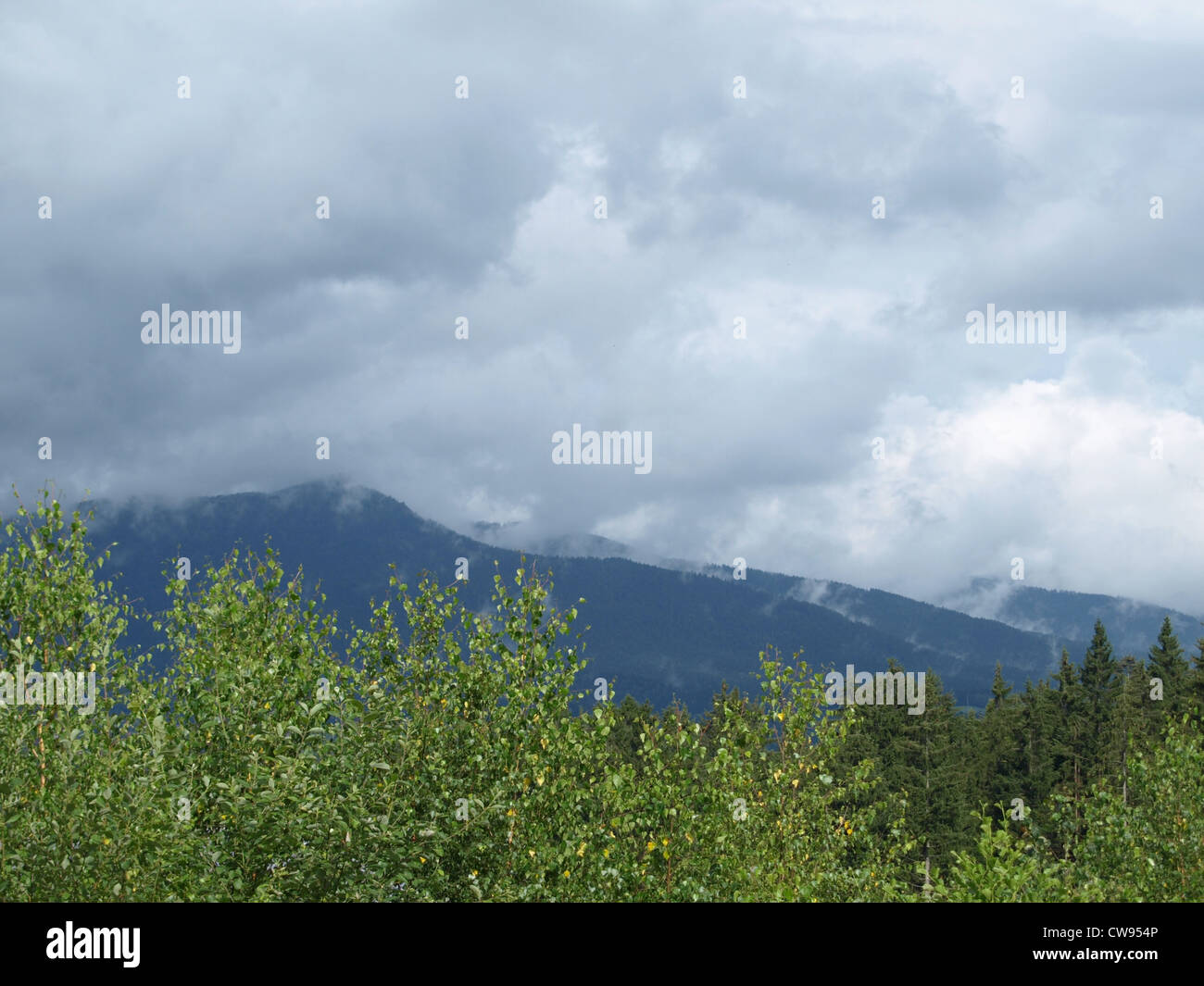 landscape, cloudy , mountain Osser, Bavarian Forest / Landschaft, bewölkt, Berg Osser, Bayerischer Wald Stock Photo