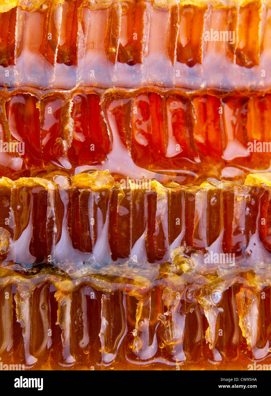 Honeycomb structure hi-res stock photography and images - Alamy