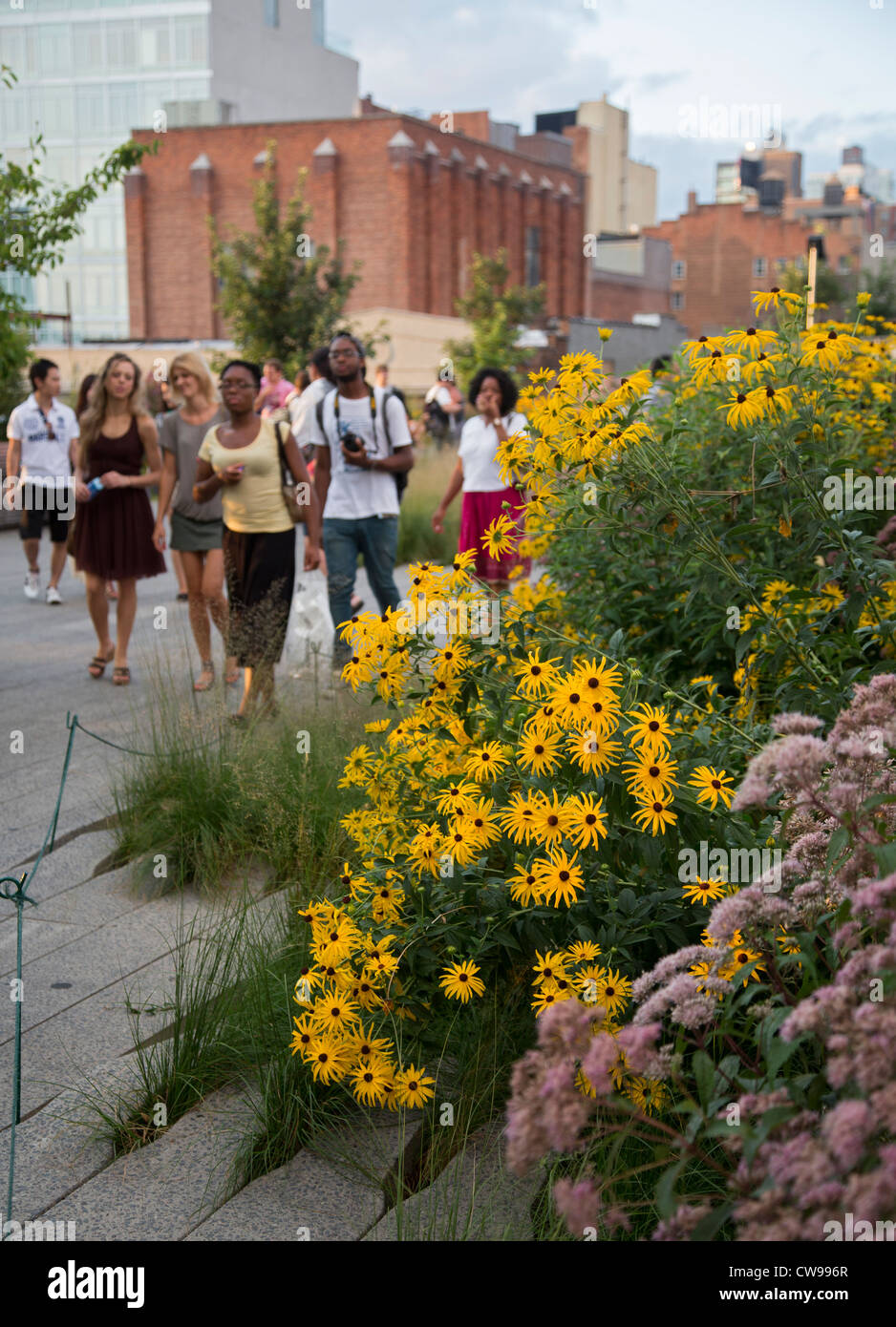 New York, New York - The High Line, an abandoned elevated railroad turned into a linear urban park. Stock Photo