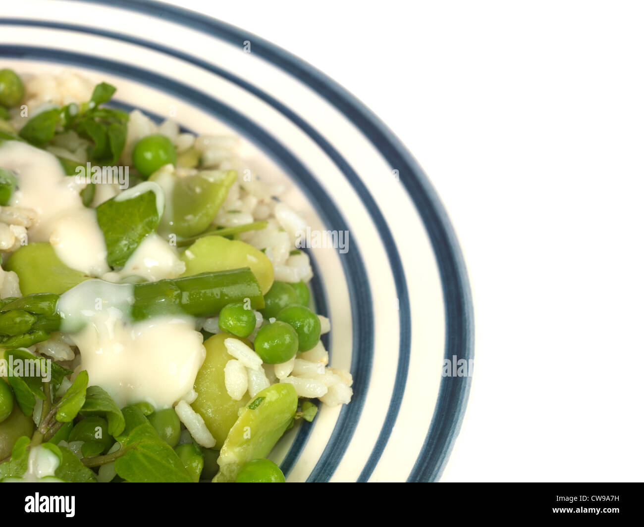 Pea Broad Bean and Asparagus Risotto Stock Photo Alamy