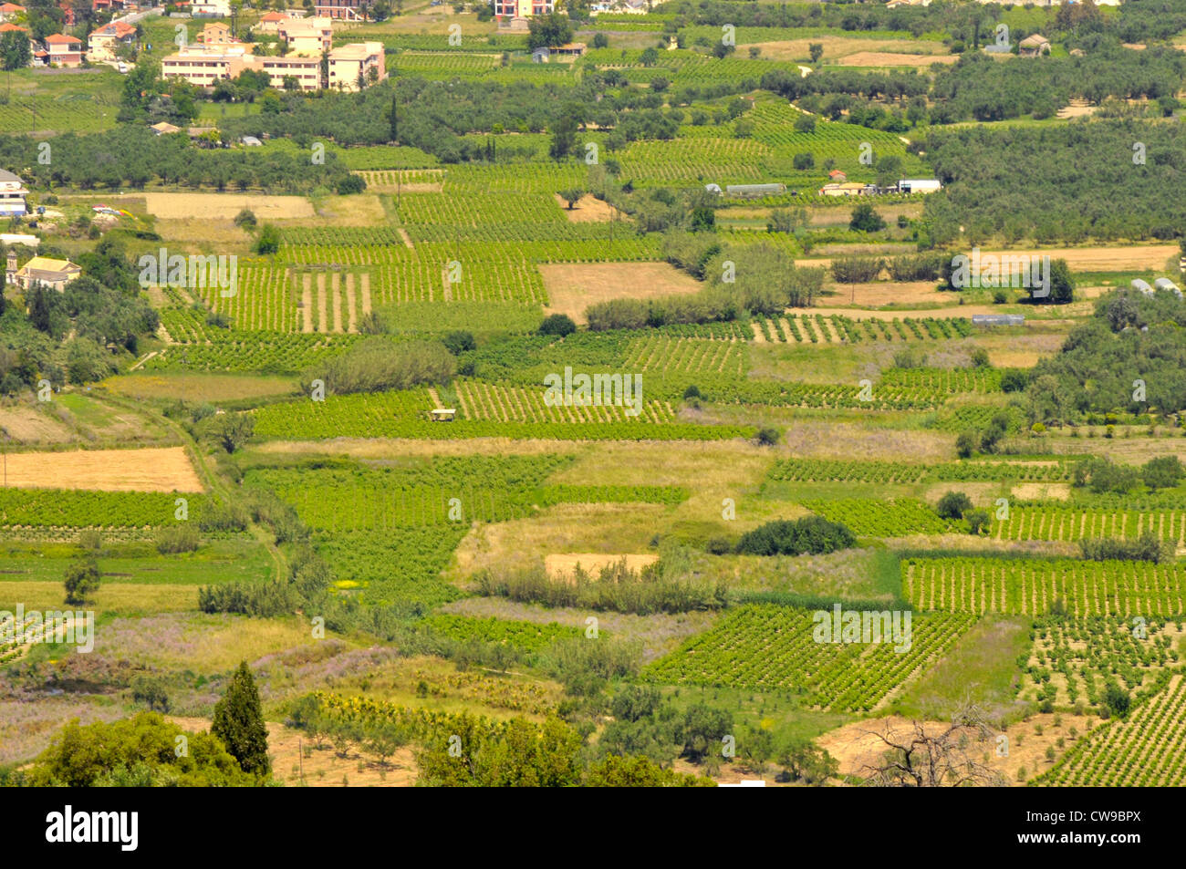 Ancient Greece Agriculture Stock Photos & Ancient Greece Agriculture