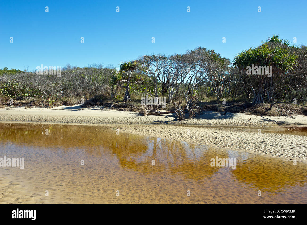 Steamers Creek Queensland - Stumers Creek on the Sunshine coast in Queensland, Australia. Stock Photo