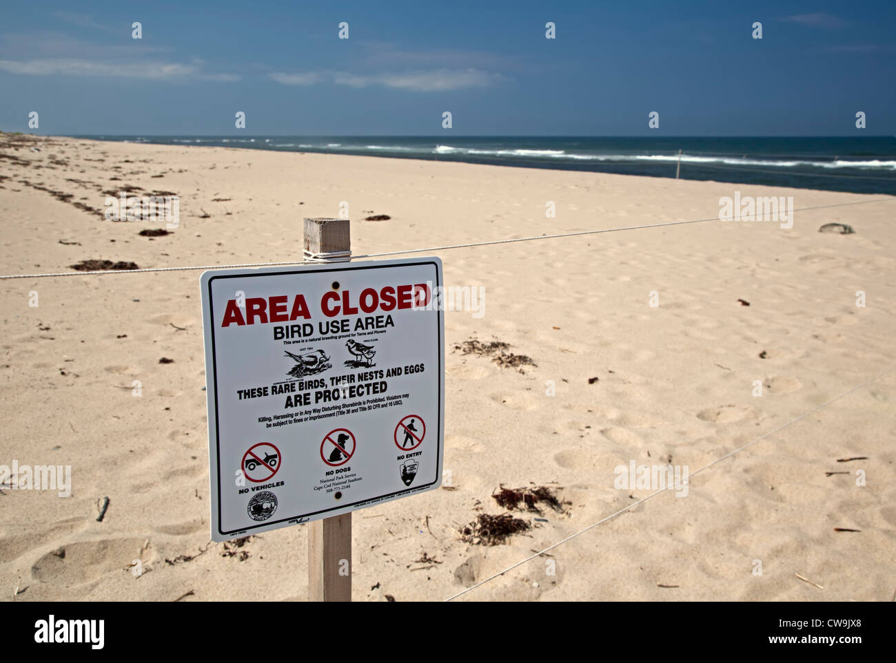 Cape Cod beach closed to provide protection for rare nesting birds. Stock Photo