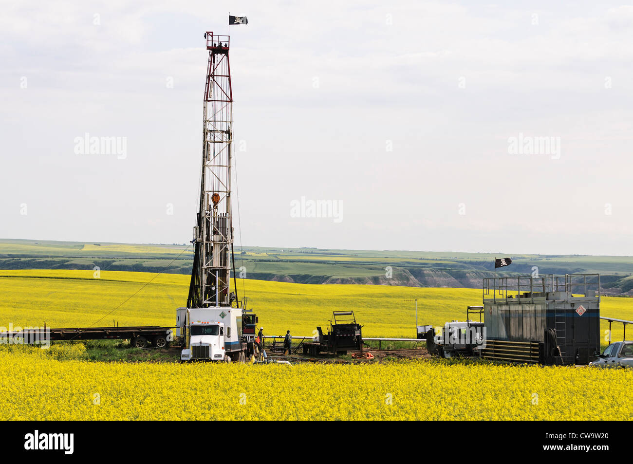 An oilfield drill rig drilling in a farmer's field of flowering canola (rapeseed), Drumheller, Alberta, Canada. Stock Photo