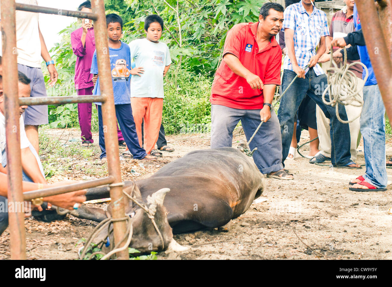 Hari Raya Aidiladha Or Hari Raya Haji Is An Important Religious Stock Photo Alamy