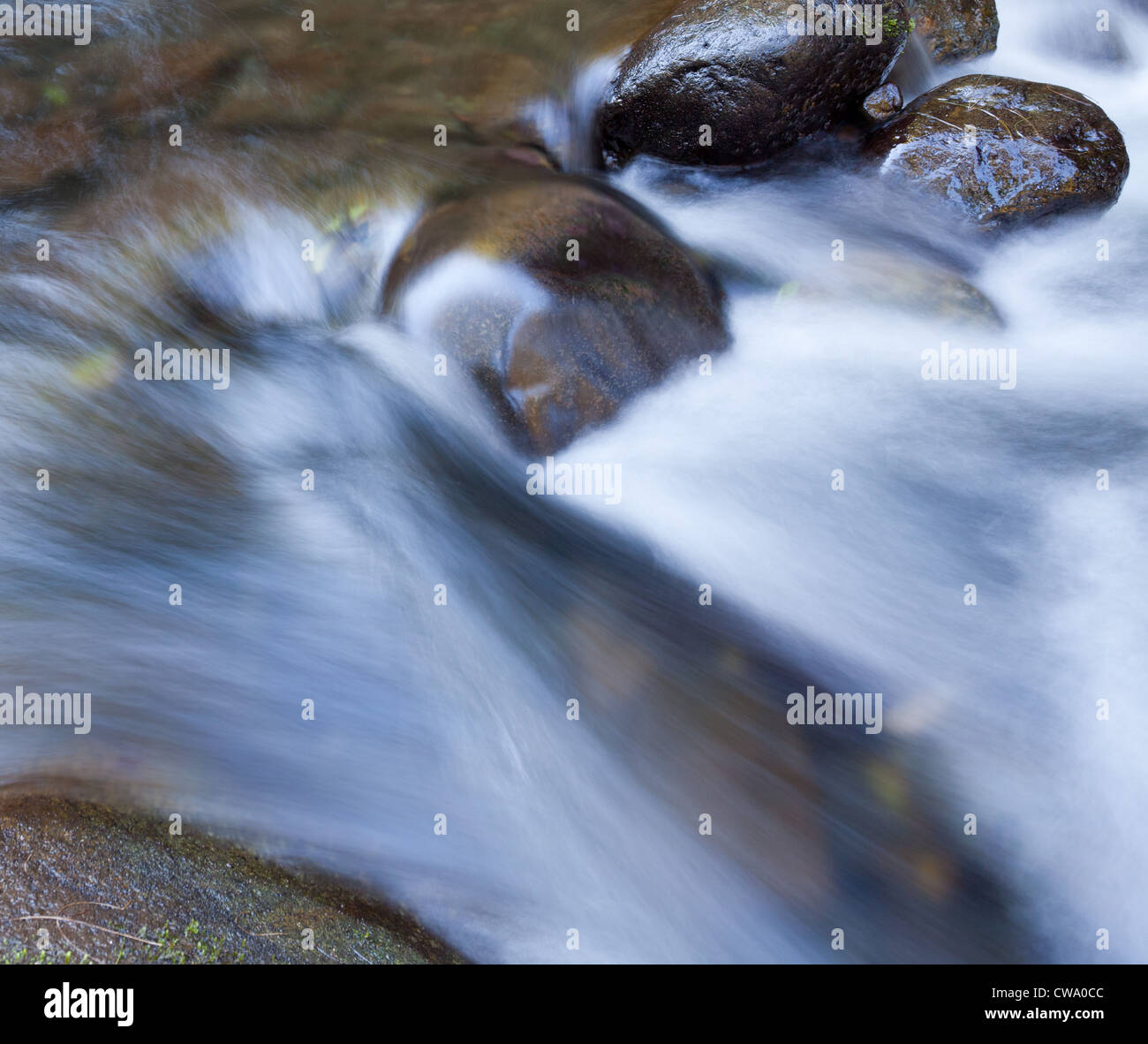 Flowing river, Barrington Tops National Park, NSW, Australia Stock Photo