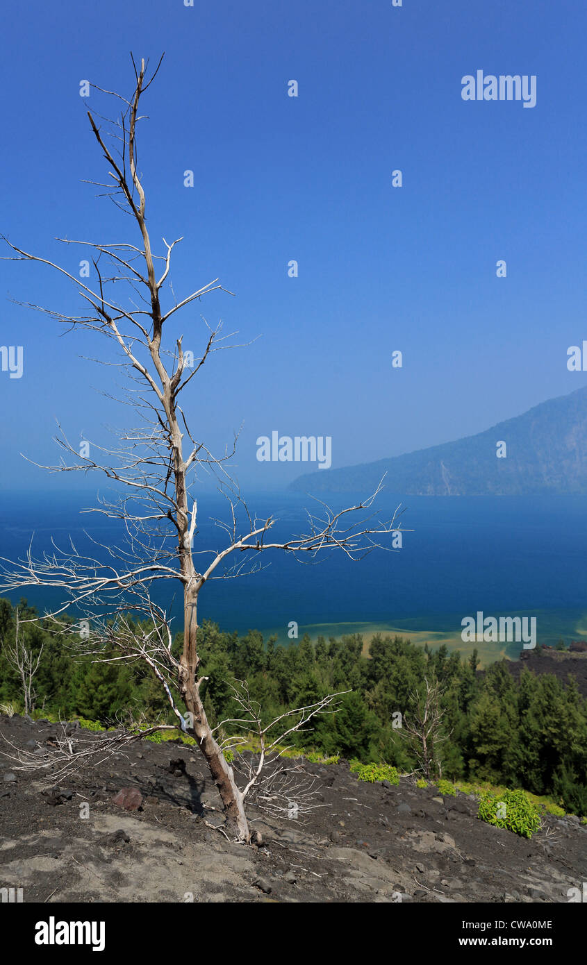 View from Krakatoa (Krakatau) volcano looking towards Rakata Island in the Sunda Strait. Stock Photo
