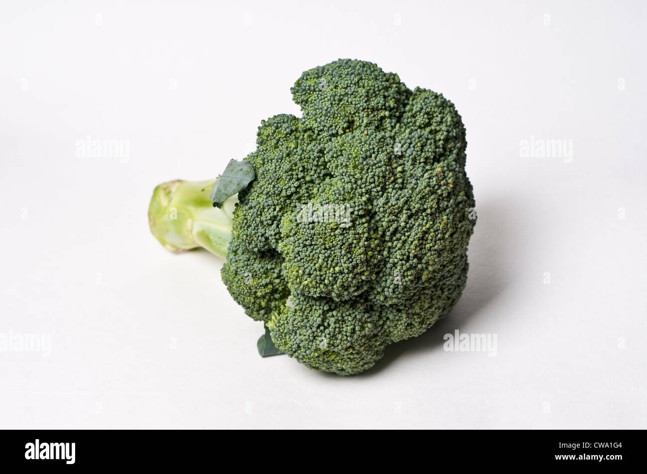 Single Broccoli Cut Out High Resolution Stock Photography and Images ...