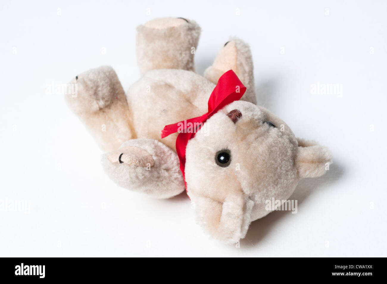 Little teddy bear on its back Stock Photo