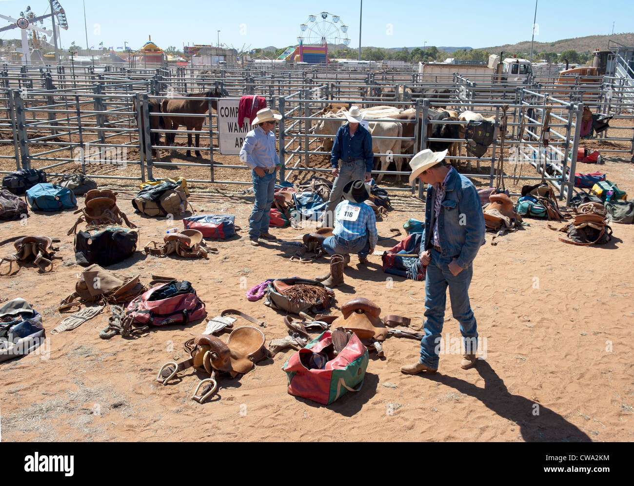Cowboys at the chutes preparing themselves for the Mount Isa Rodeo Stock Photo