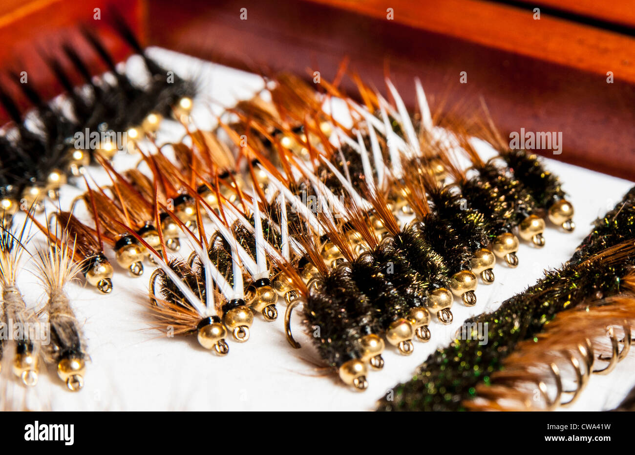 Fly fishing flies on a storage box Stock Photo Alamy