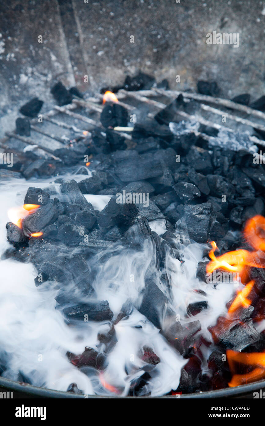 BBQ Charcoal, flames and smoke Stock Photo Alamy