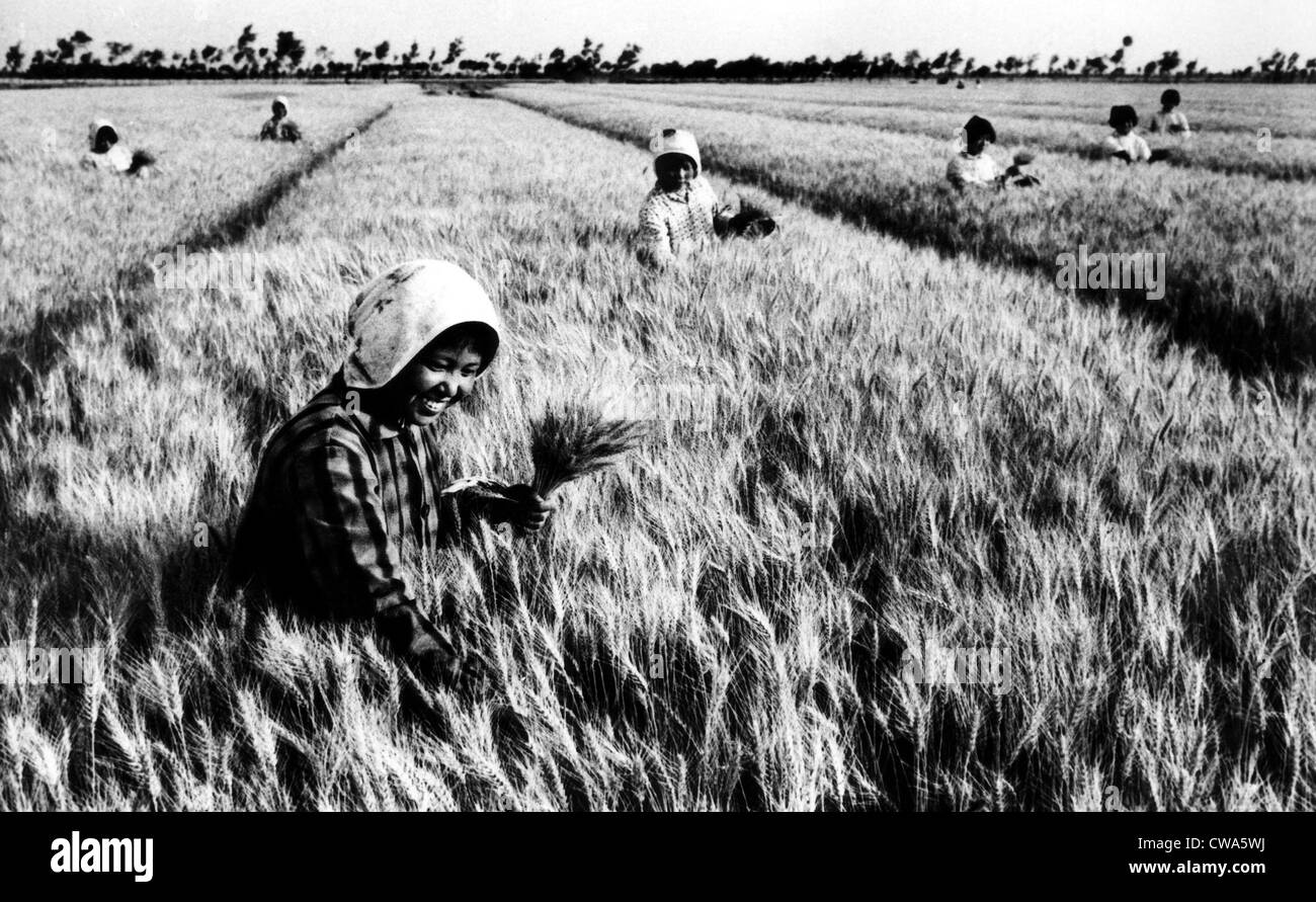 Members of the Changkuo People's Commune in China's Kiangsu Province harvest wheat, 1974. Courtesy: CSU Archives/Everett Stock Photo