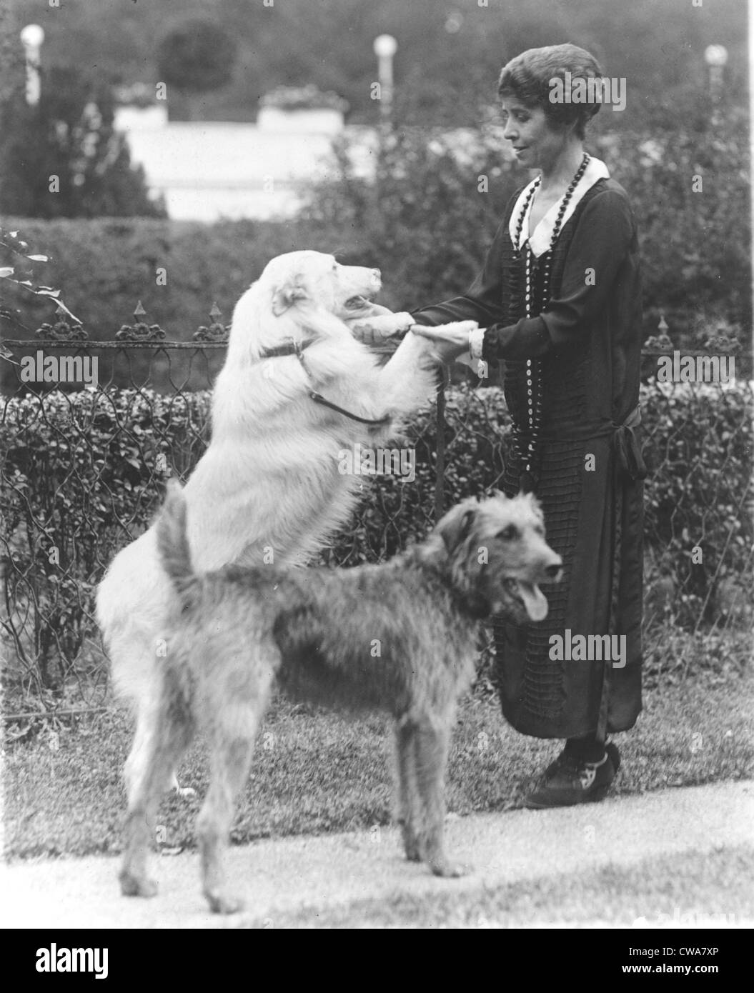 First Lady Grace Coolidge (1879-1957), picture here on the White House lawn with pet dogs, as she resumed her public functions Stock Photo