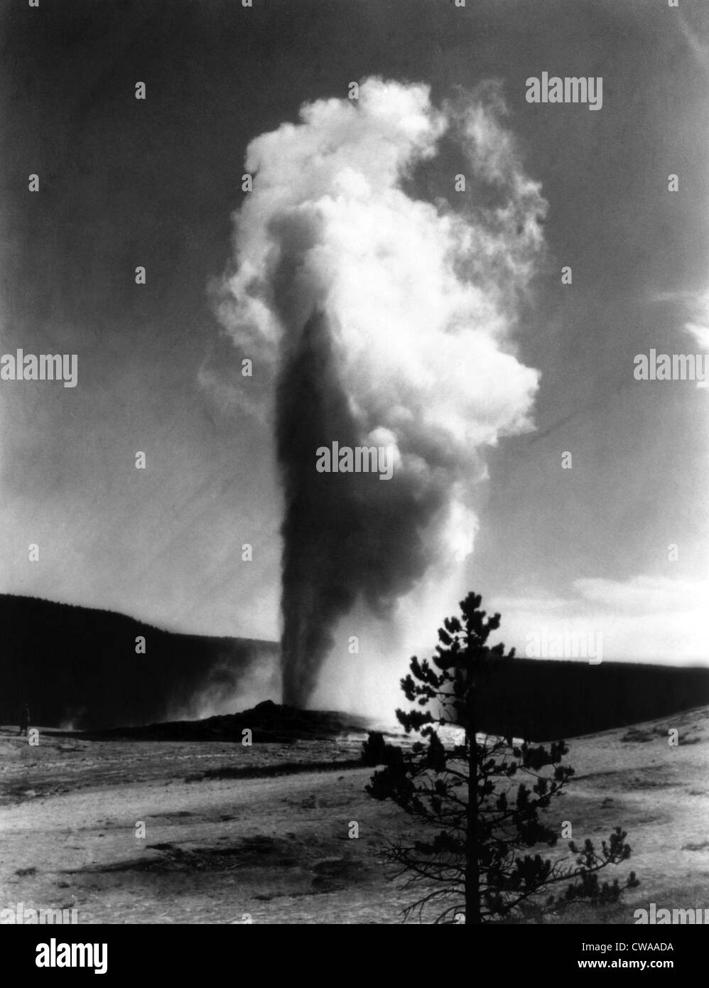 Old Faithful Schedule Eruptions