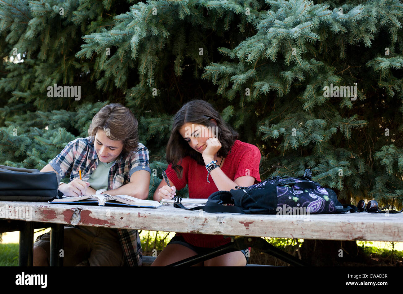 Teenage couple studying on picnic table in park Stock Photo