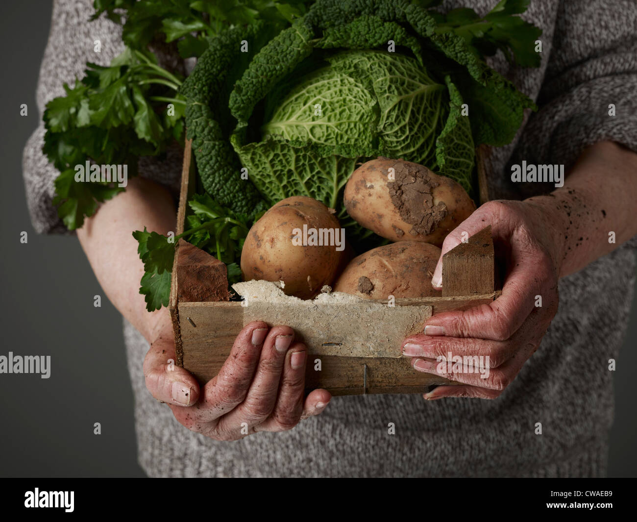 Woman holding wooden crate of vegetables Stock Photo - Alamy