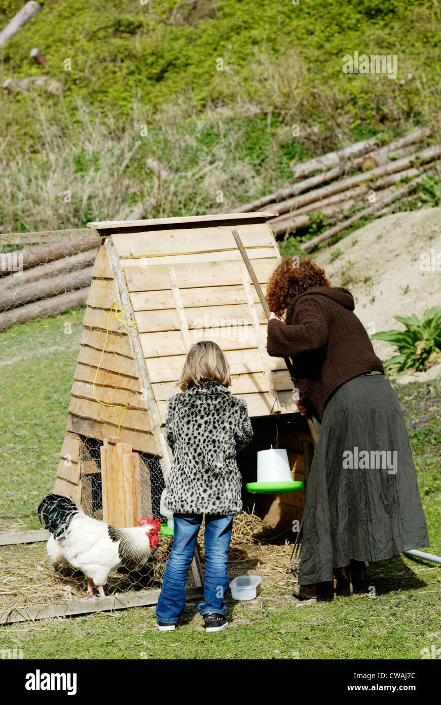 Young girl and grandmother tending to chickens, Wales, UK Stock Photo