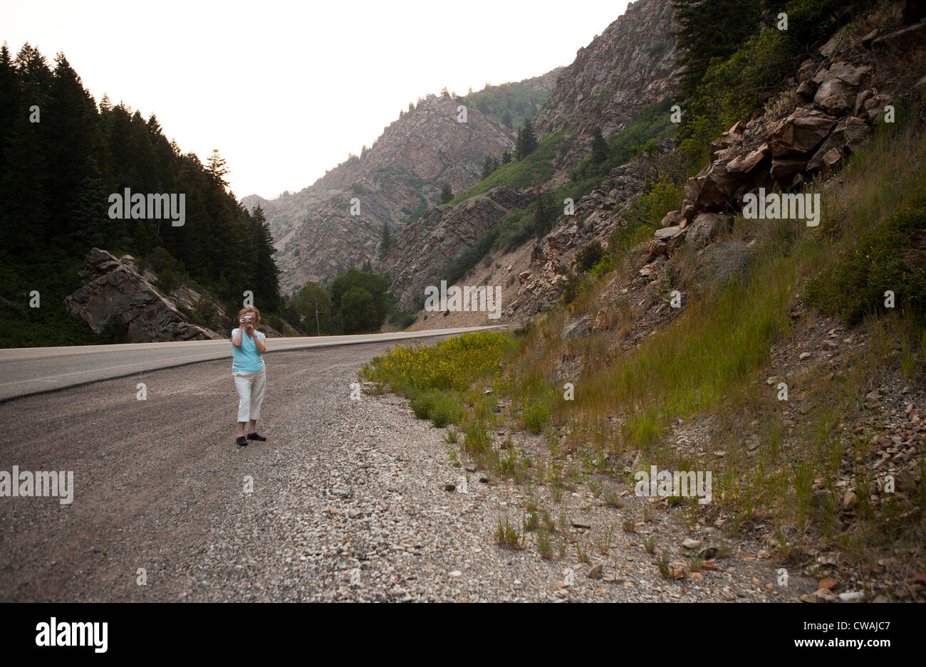 Woman taking photograph in Big Cottonwood Canyon, Salt Lake County, Utah, USA Stock Photo