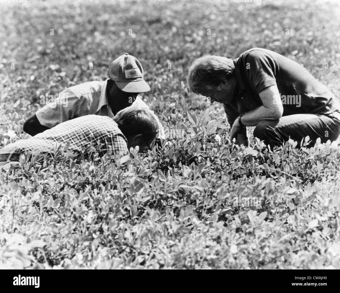 1977 jimmy carter hires stock photography and images Alamy