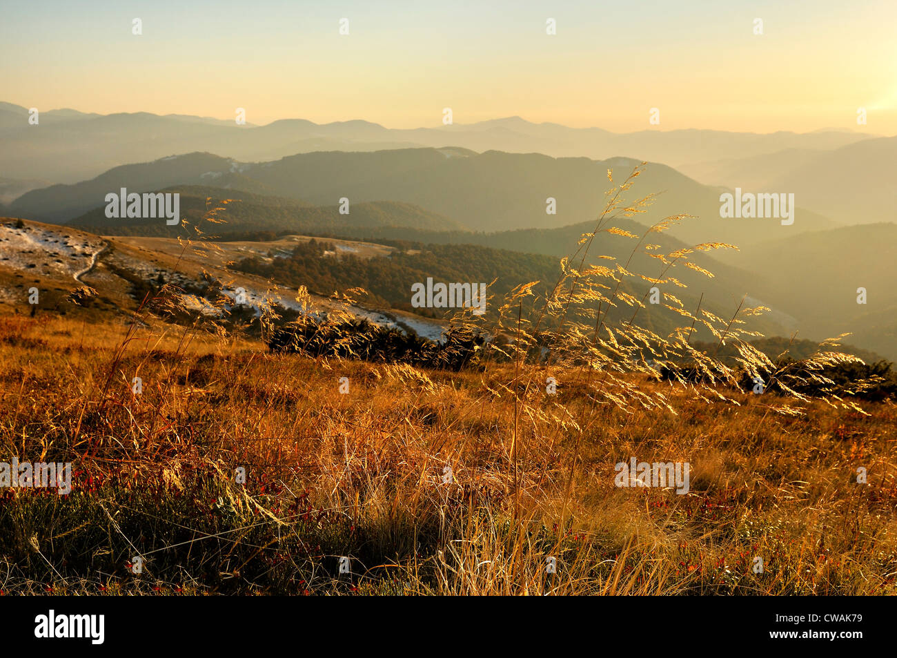 Sheshul Mountain area, Carpathian Mountains, Ivano-Frankivsk region, Ukraine Stock Photo